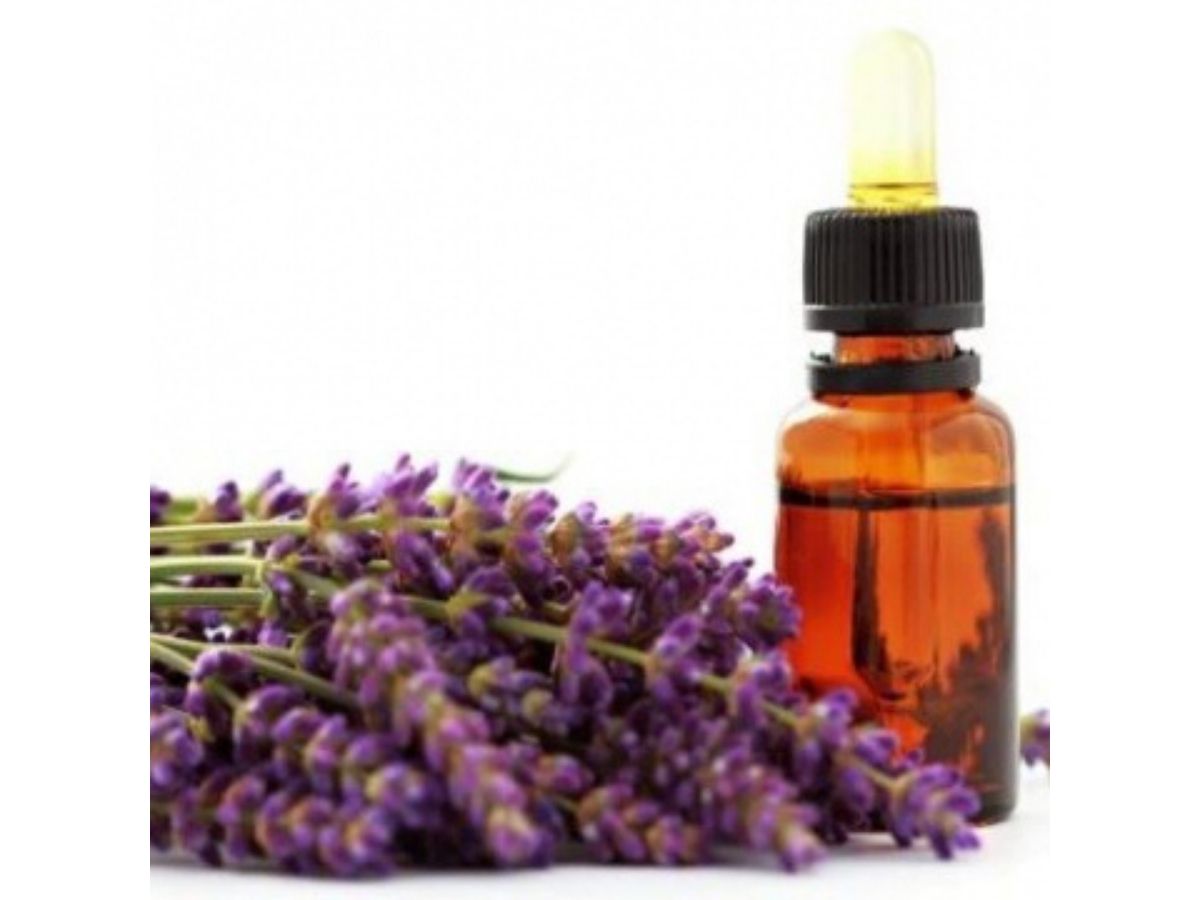 Lavender Essential Oil