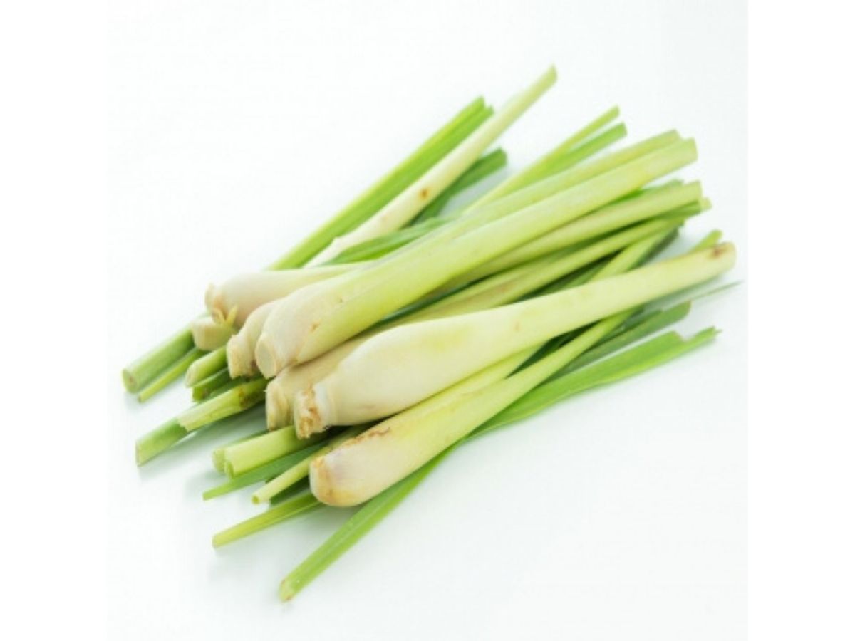Lemongrass Essential Oil.