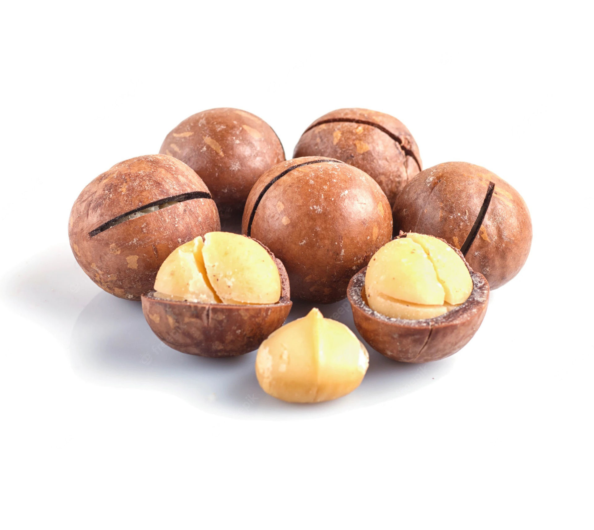 Macadamia Inshell - 250g Macadamia Inshell - 250g
