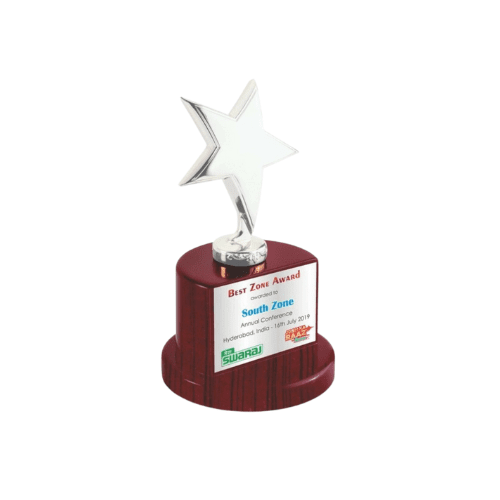Wooden Brass TrophyBB2694