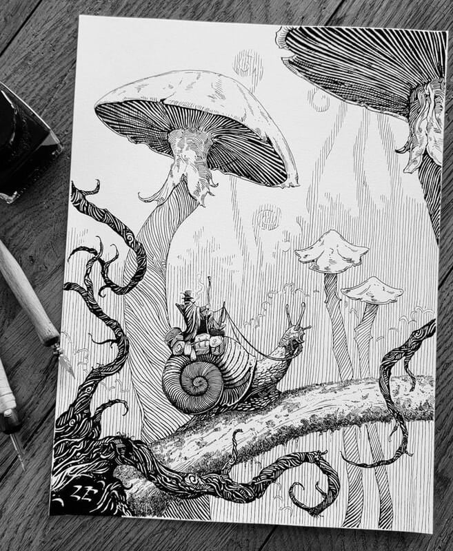 Mushroom Sketches Mushroom Sketches