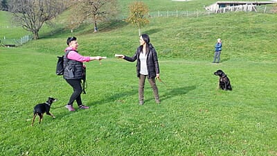 20.01. - 21.01.2024 Natural Dogmanship® Basis-Seminar