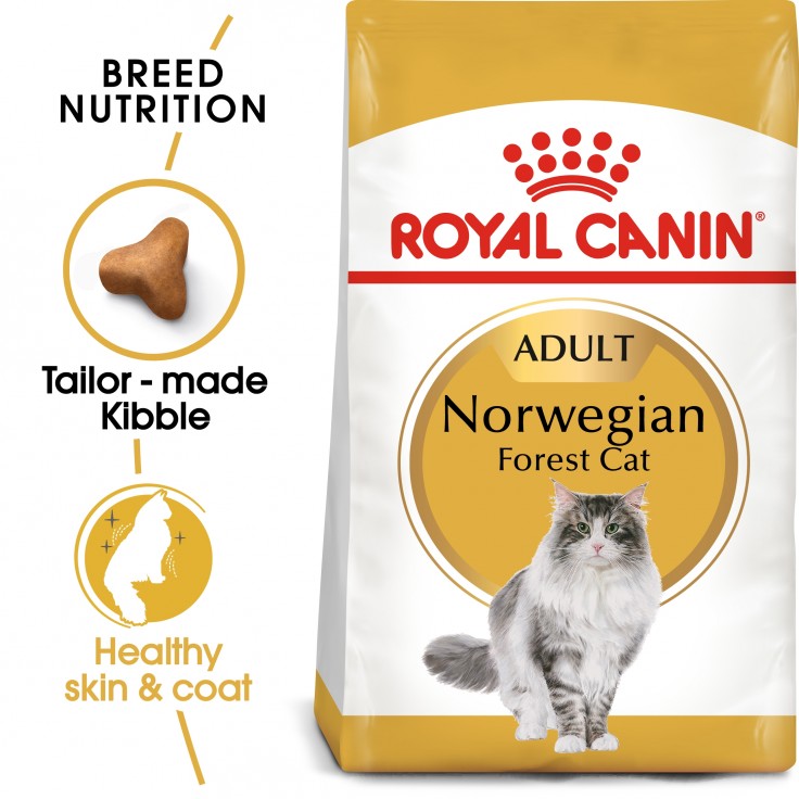 Royal Canin Feline Breed Nutrition Norwegian Forest Cat 2KG Royal Canin Feline Breed Nutrition Norwegian Forest Cat 2KG