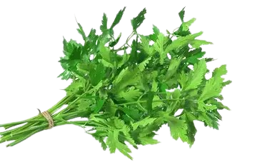 Parsley-Bundle