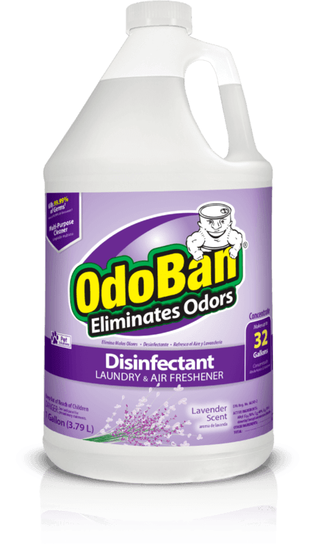 odoban lavanda