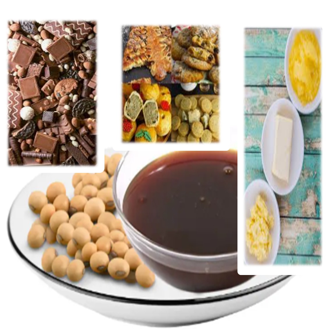 SOY LECITHIN (ADLEC) - 25 KG