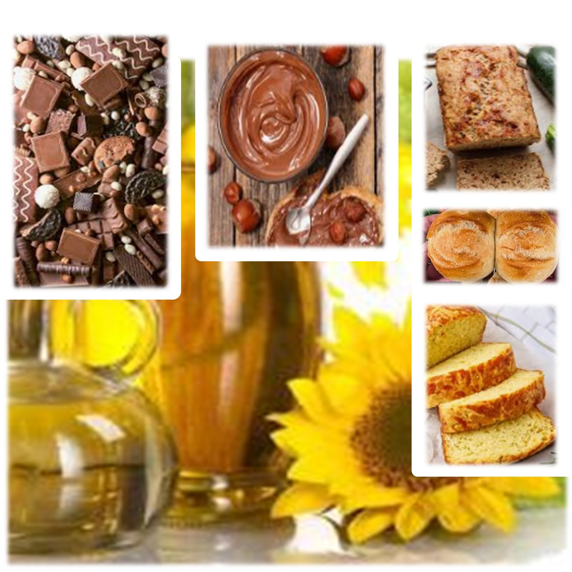 SUNFLOWER LECITHIN (BUNGEMAXX S1000) SUNFLOWER LECITHIN (BUNGEMAXX S1000)