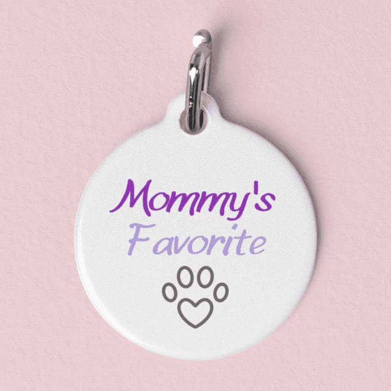 The Favorite Pet Tag
