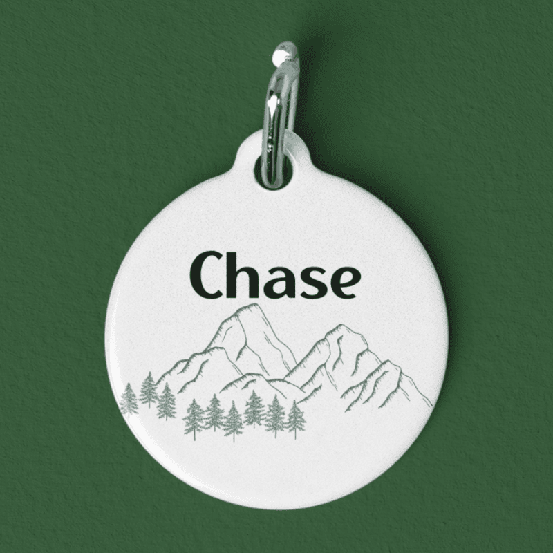 Personalized Pet Name Tag