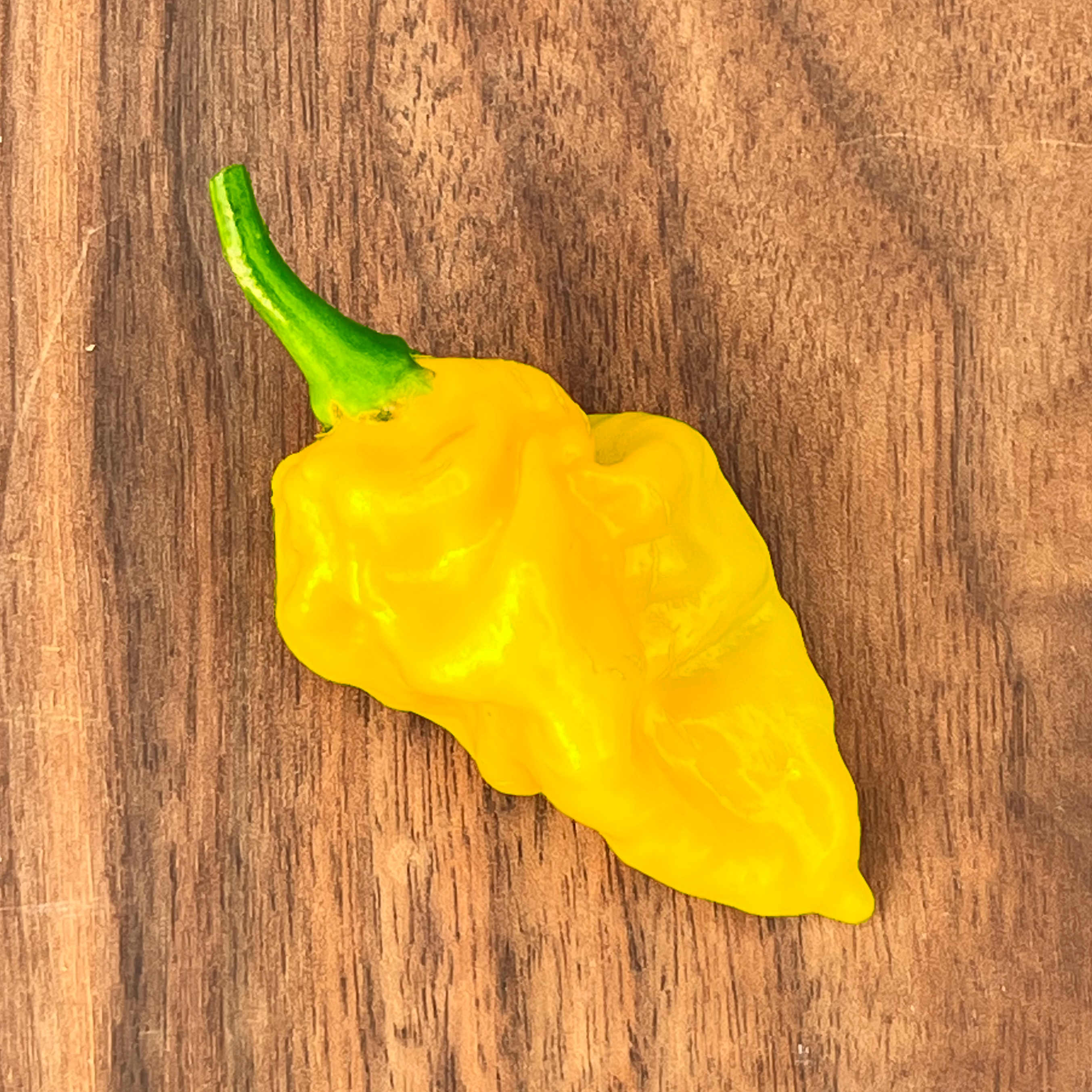 Piments Habaneros séchés Piments Habaneros séchés