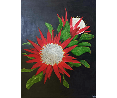 PROTEAS by Louise