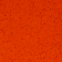 Pumpkin Chips