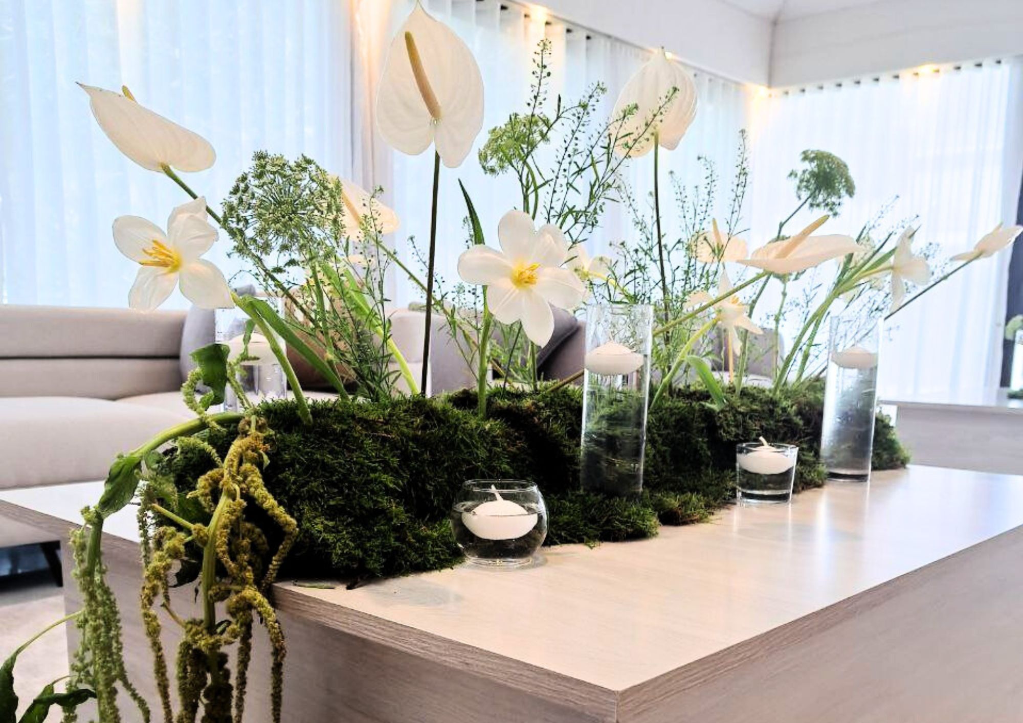 Majlis Bloom