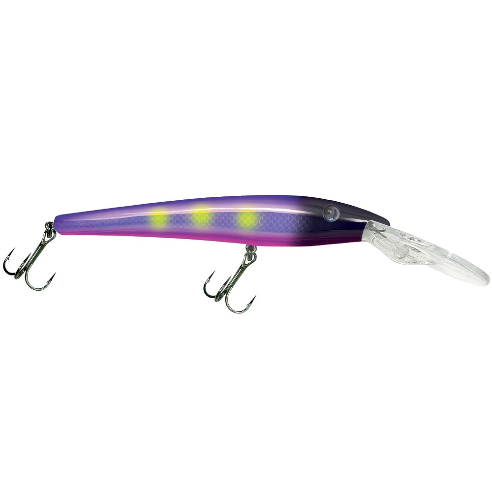 Reef Runner 900 Reef Stalker Reef Runner 900 Reef Stalker