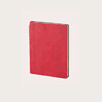 Grey Diary BB44