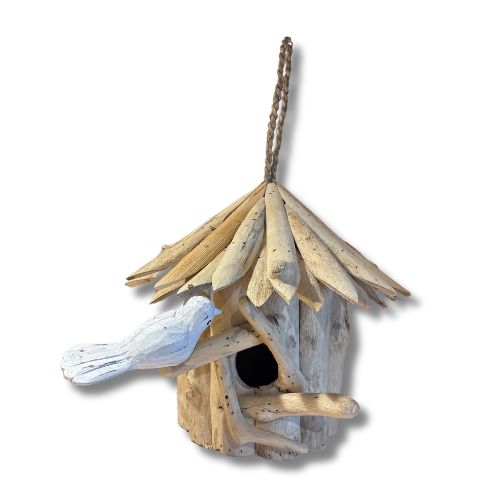 Bird Nest