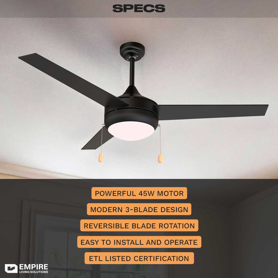 Ceiling Fan Ceiling Fan