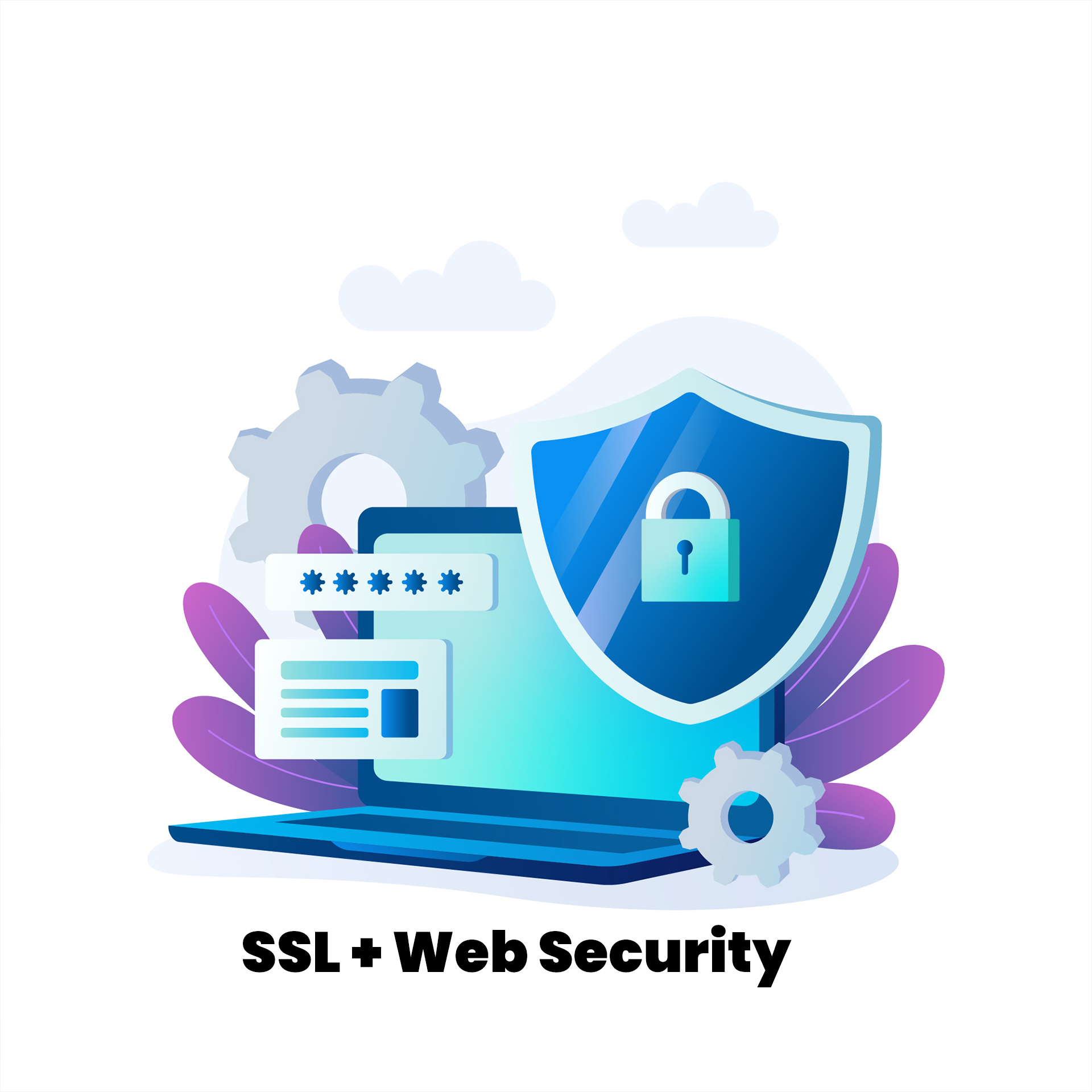 SSL + Web Security – 12 Months