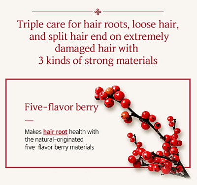 Ryo Damage Care & Nourishing Conditioner 500ml(16.9oz) Hair strength and thickness, Ryo Damage Care & Nourishing Conditioner 500ml(16.9oz) Hair strength and thickness,