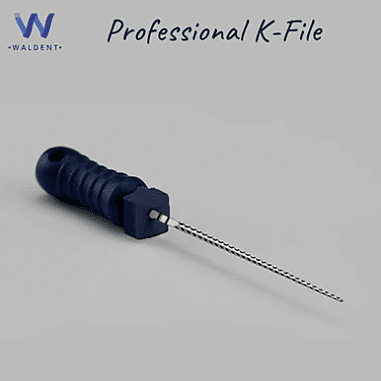 Waldent Professional K-File 21mm Waldent Professional K-File 21mm