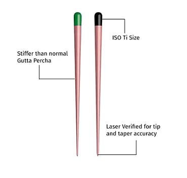 Waldent Gutta Percha Points 2% Waldent Gutta Percha Points 2%