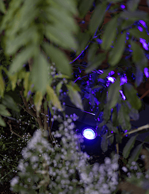 in-lite Smart Scope Tone in-lite Smart Scope Tone