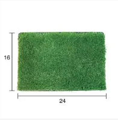 Zoysia Palisade Zoysia Palisade