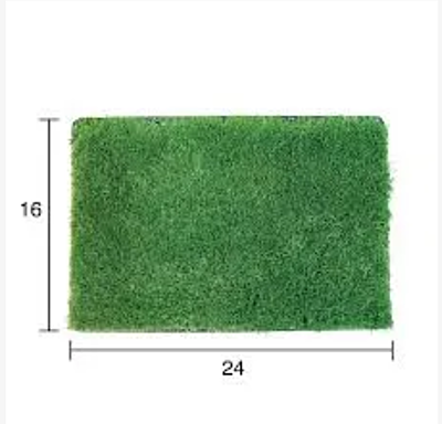 Zoysia Emerald Zoysia Emerald