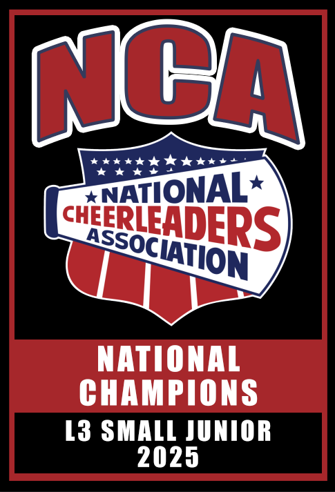 NCA Replica Banner