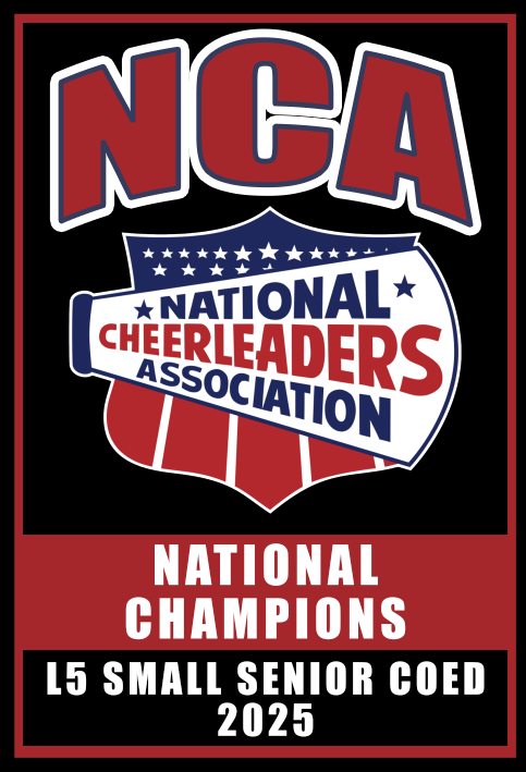NCA Replica Banner