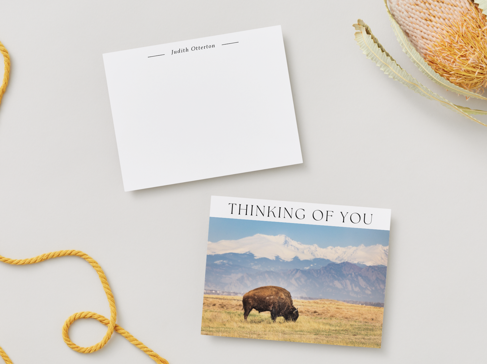 CB Photography Bison Grazing On Front Range Of Rocky Mountains