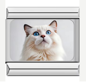 White Cat
