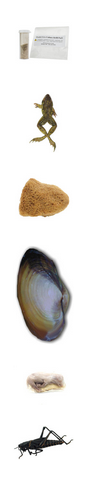 Biology Specimens