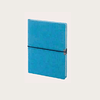 Brown Diary BB23
