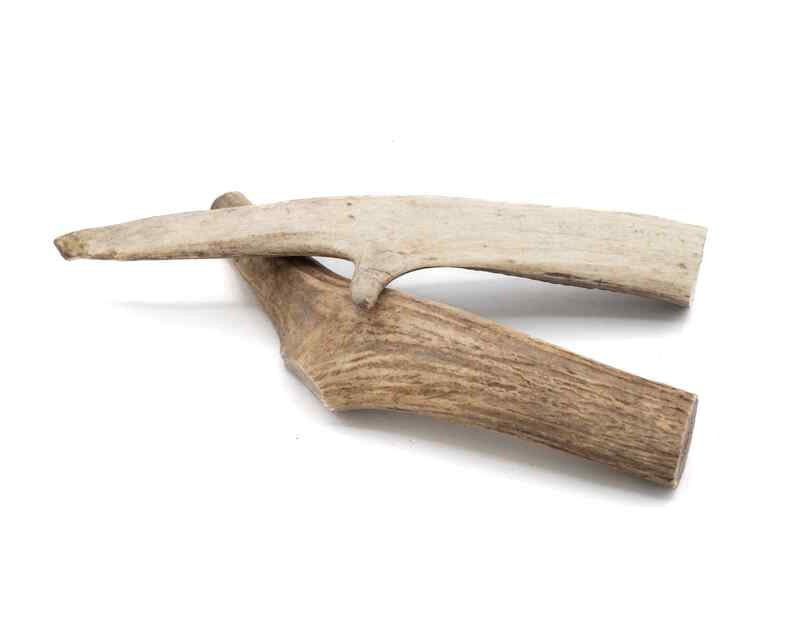 Solid Elk Antler - Large Solid Elk Antler - Large