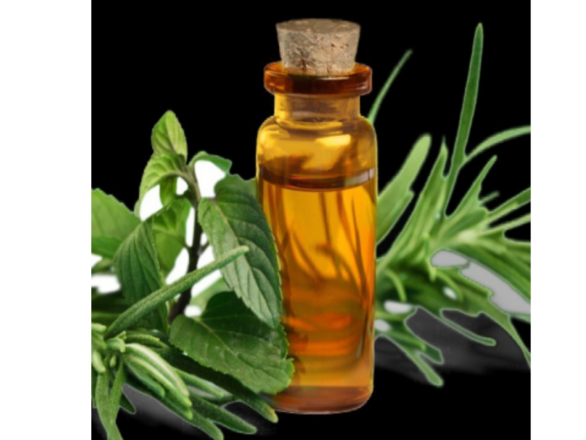 Tea Tree Essential Oil