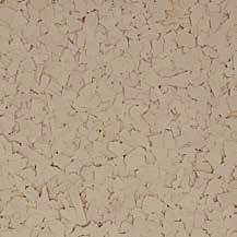 Tan Chips