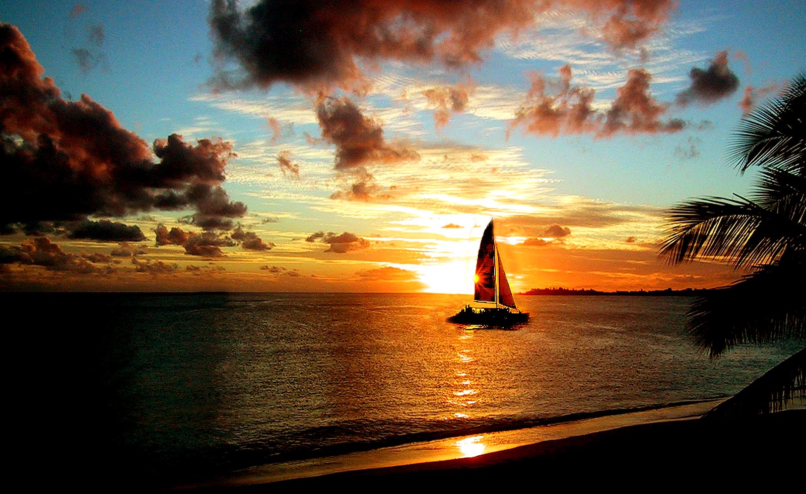 Dinner Cruise