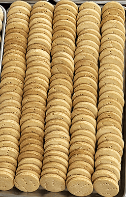 Tea Shop Salt Biscuit (1/2 lb)