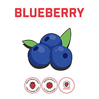 Blueberry Puree Blueberry Puree