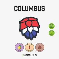 Columbus Columbus