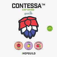 Contessa™ Contessa™