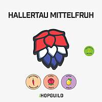 Hallertau Mittelfruh Hallertau Mittelfruh