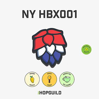 NY HBX001
