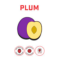 Plum Puree Plum Puree