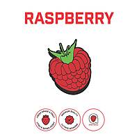 Raspberry Puree Raspberry Puree