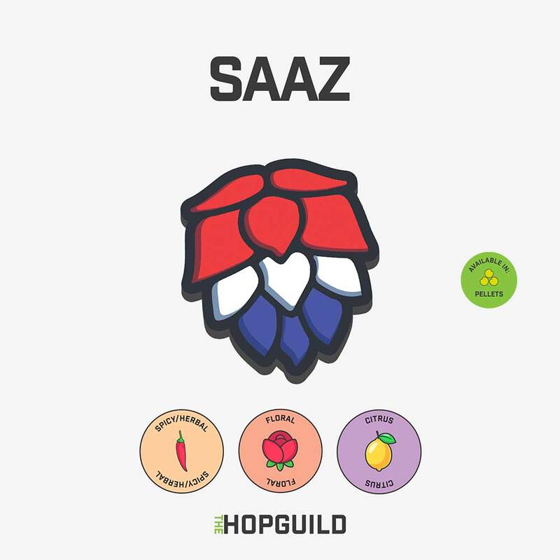 Saaz Saaz