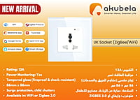 Zigbee Single Socket