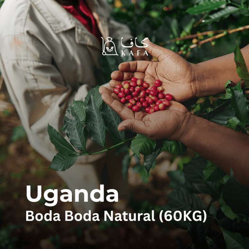 Uganda Boda Boda Natural (60KG) - E240041