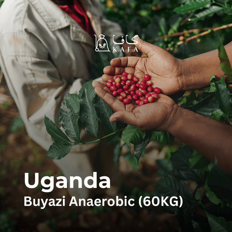 Uganda Buyazi Anaerobic (60KG)- E240142